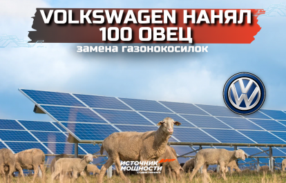 Volkswagen hired 100 sheep instead of lawn mowers